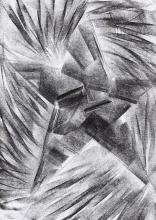 Black Star XXIX