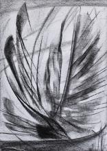 Nocturne VI
