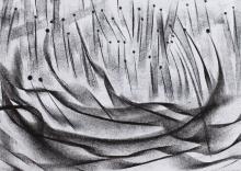 Nocturne XIII